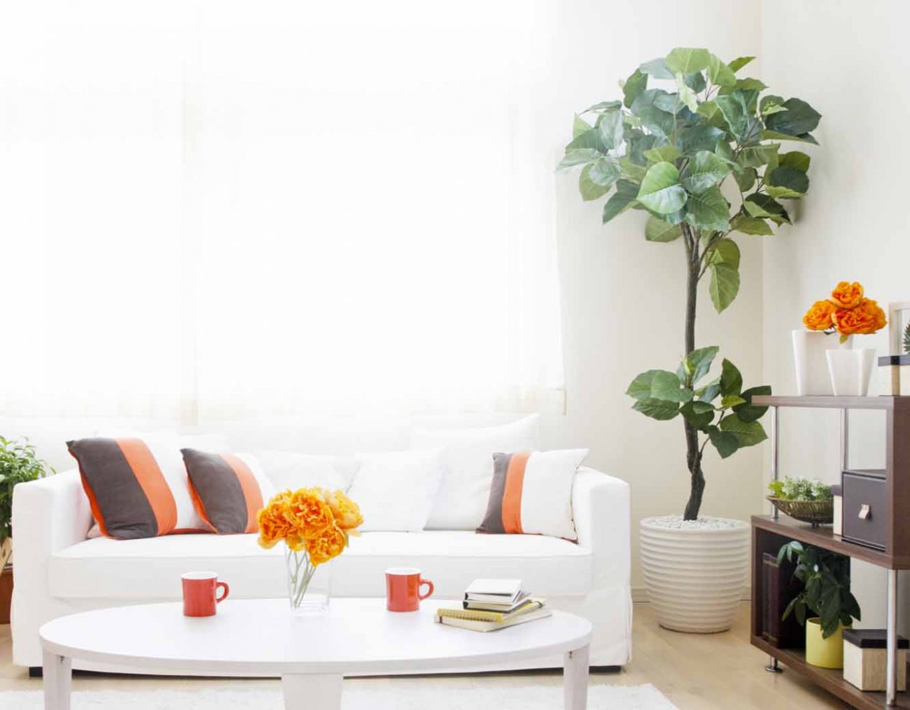 How to Fake Clean a House