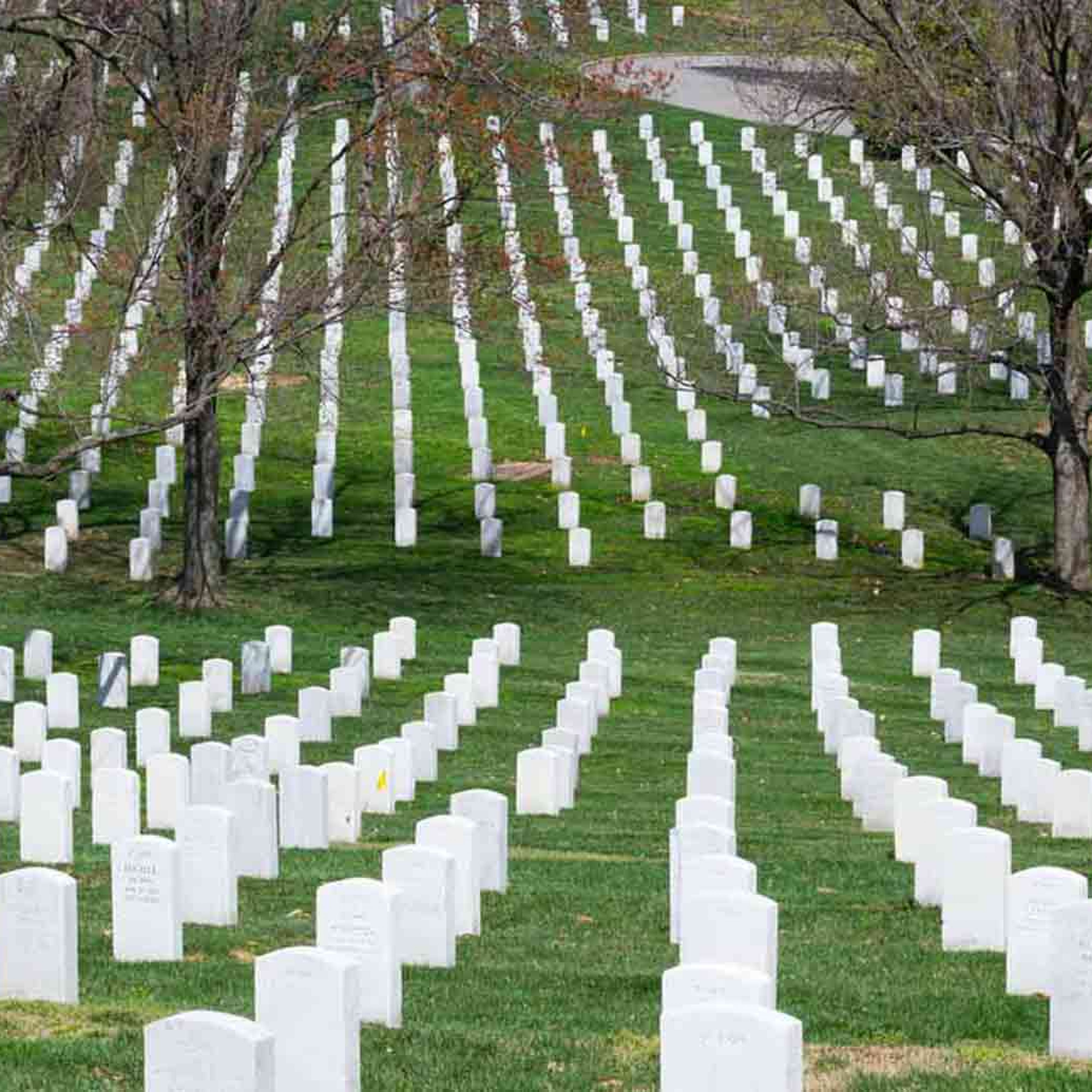 Memorial Day A Day Of Honor But Why 