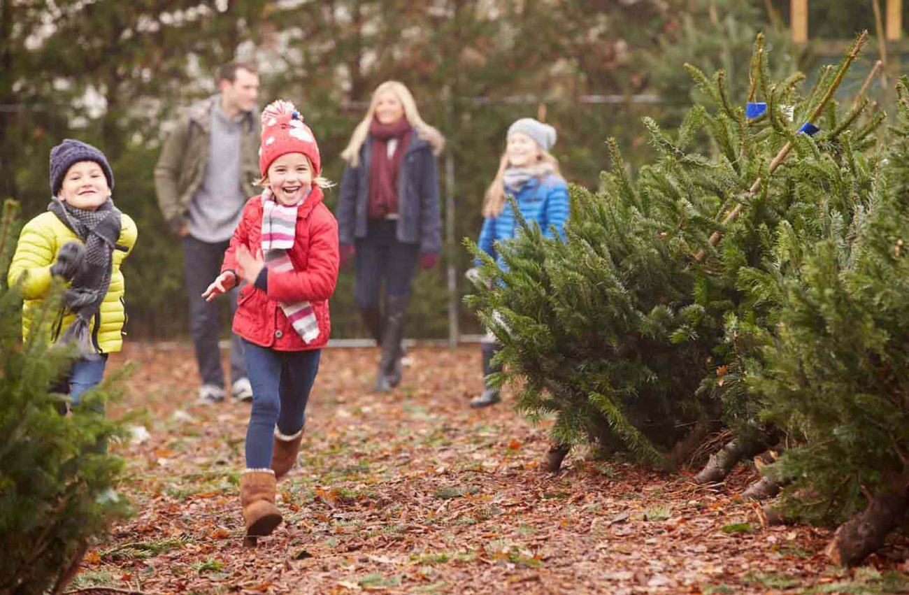 7-Holiday-Traditions-to-Start-With-Your-Family