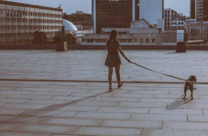 What It Really Means When an Introvert Backs Away