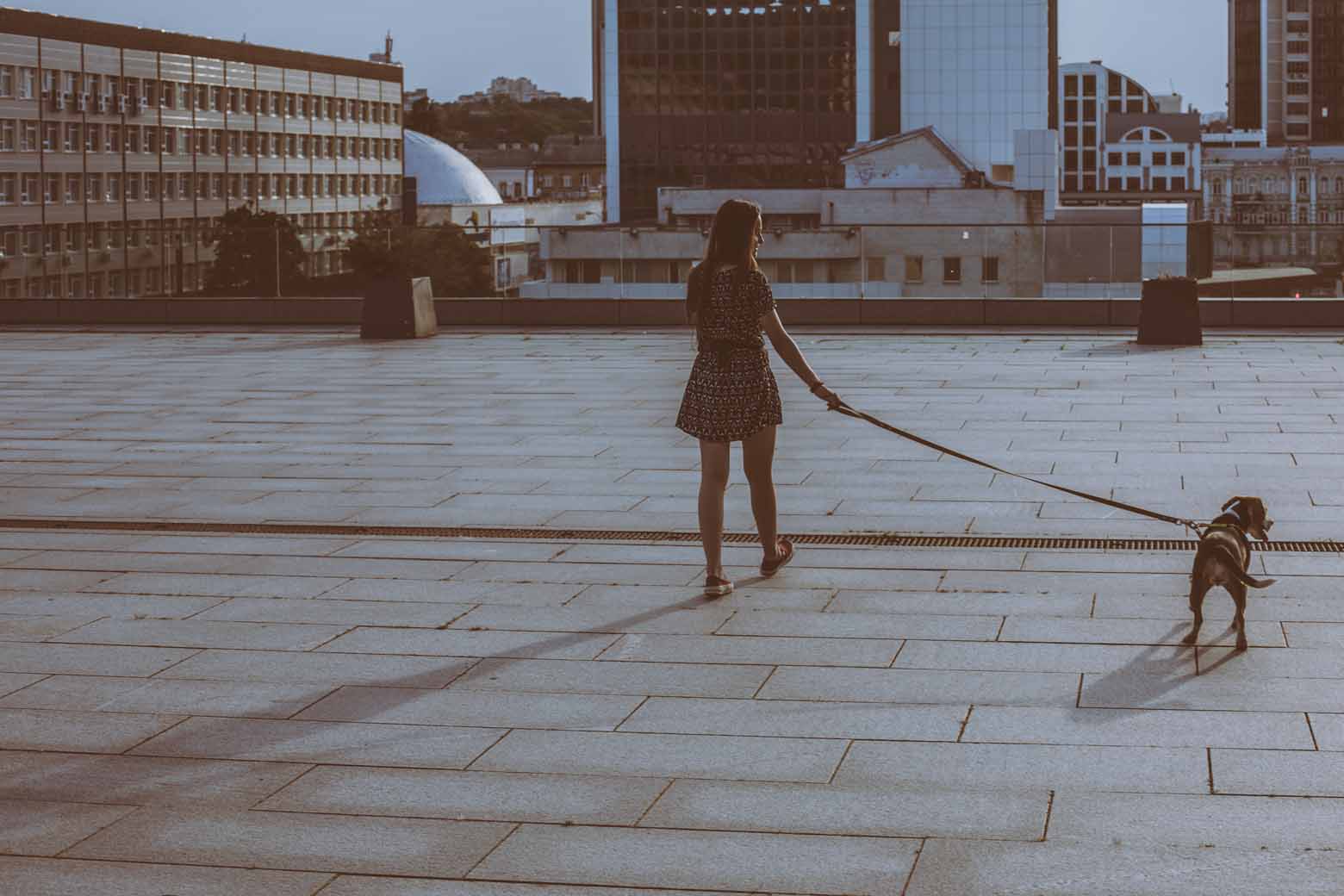 What It Really Means When an Introvert Backs Away