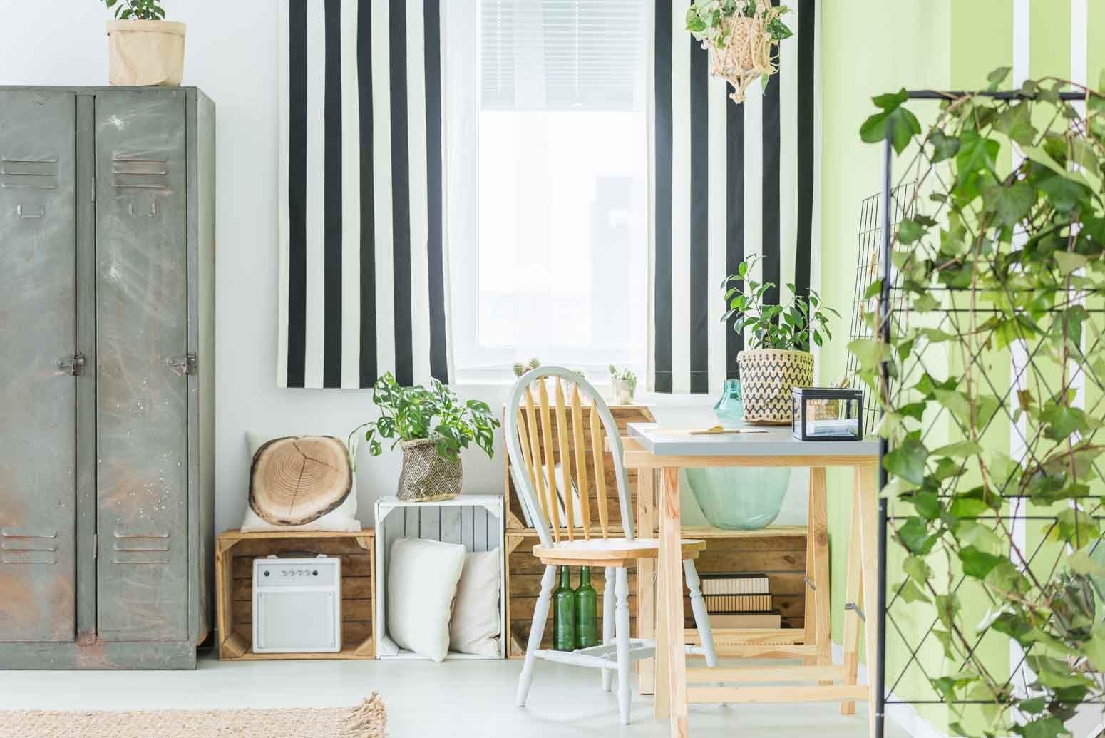 This-Is-Why-You-Need-an-Aloe-Vera-Plant