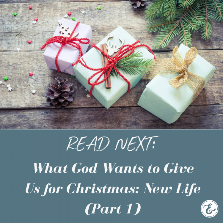 What God Wants to Give Us for Christmas: New Life (Part 1)
