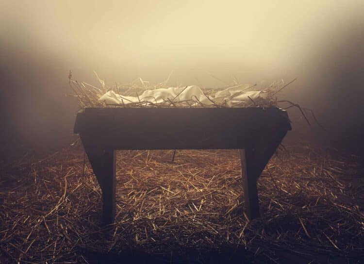 Wait with Me: Discovering the Beauty of Advent