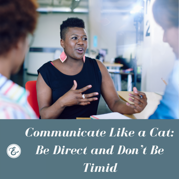communicate like a cat: be direct and don't be timid