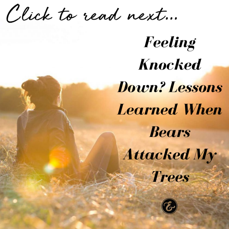 Feeling Knocked Down? Lessons Learned When Bears Attacked My Trees; tell my story