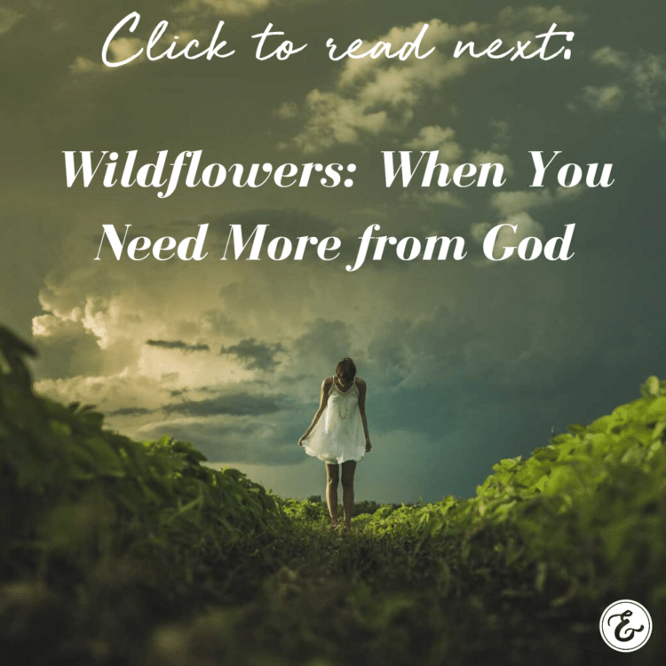 Wildflowers: When You Need More from God