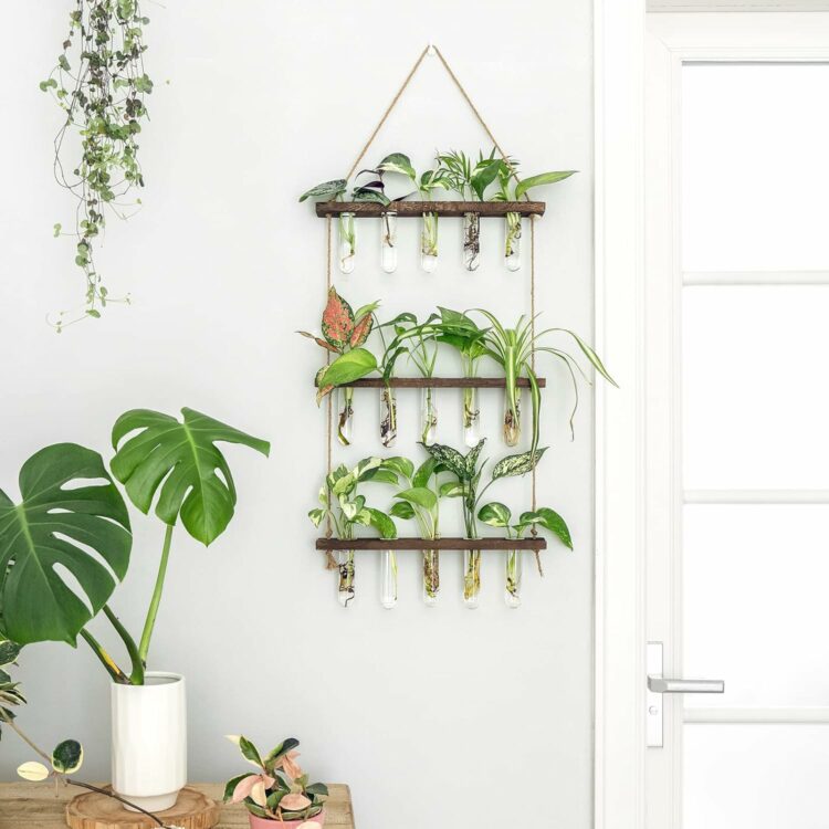 wall hanging with vials full of leaves and plant stems 