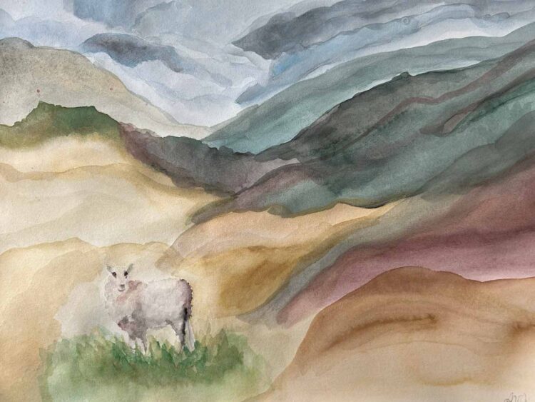 a lamb in a hilly field, a symbol of much-desired grace in the valley